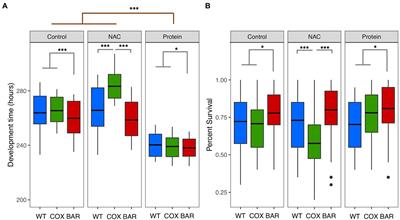 Mitonuclear Interactions Produce Diverging Responses to Mild Stress in Drosophila Larvae